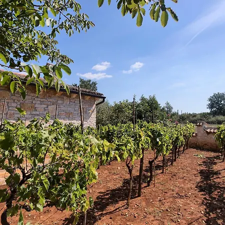 Karim Near Porec With Large Garden & 50 M2 Private Pool